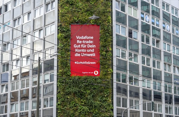 Green façade on a building, Areo Treibhaus office building, on Graf-Adolf-Straße in Düsseldorf, 100