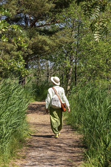 Elderly woman, trees, circular hiking trail, Darßer Ort, Born a. Darß, Mecklenburg-Vorpommern,
