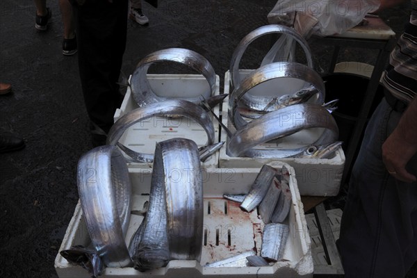 Silver scabbardfish at the historic Catania fish market, Catania, Sicily, Italy, Europe