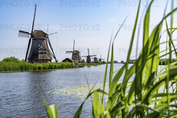 Kinderdijk, 18 windmills designed to pump water from the polders to utilise the land, one of the