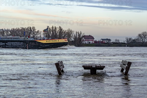 Flood on the Rhine, flooded banks of the Rhine, old ferry landing stage, Rhine meadows, near