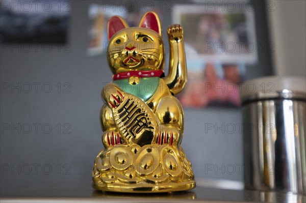 Japanese lucky charm, the waving cat, Bavaria, Germany, Europe