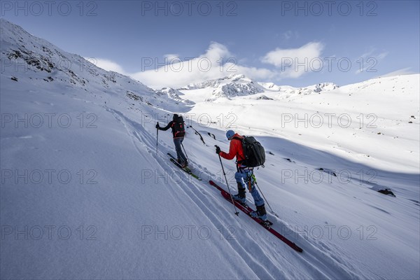 Two ski tourers ascending in fresh snow, snow-covered mountain peak Monte Cevedale in the