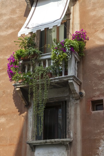 A Mediterranean balcony in an old town centre with flowering plants and ivy in the sunlight,