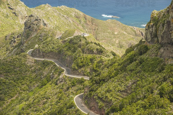 Mountain road, Valley of Taganana, Barranco de la Iglesia, Anaga Mountains, Las Montanas de Anaga,
