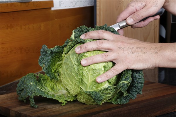Swabian cuisine, preparation of savoy cabbage, wild boar medallions with savoy cabbage cakes,