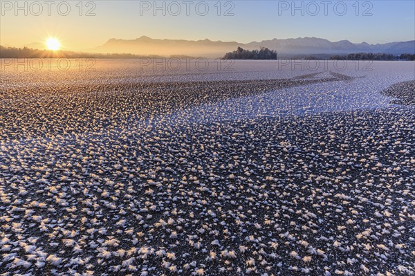 Ice roses, ice, frozen lake, sunrise, mood, winter, mountains, Staffelsee, Murnau, Alpine