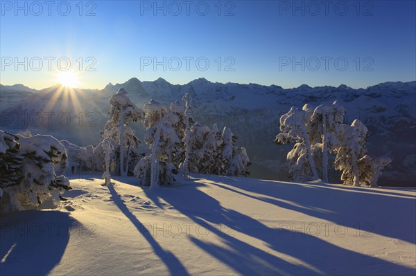 Bernese Alps, View from the Niederhorn, Bernese Oberland, Switzerland, Europe