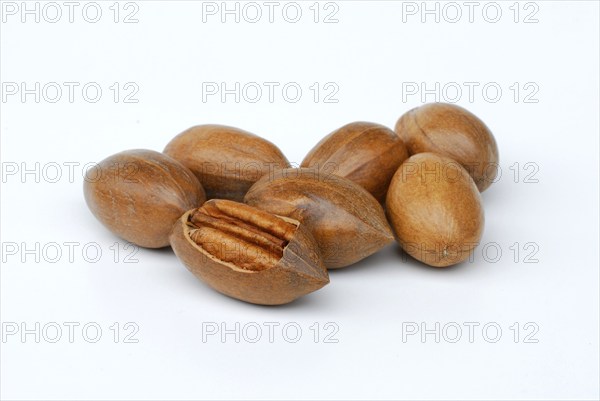Pecans (Carya illinoinensis)