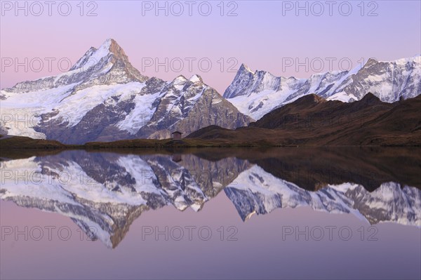 Bachalpsee, Schreckhorn, 4078 m, Finsteraarhorn, 4274 m, Bernese Oberland, Switzerland, Europe