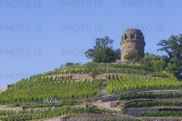 The Bismarck Tower in Radebeul, also known as the Bismarck Column, is one of around 145 Bismarck