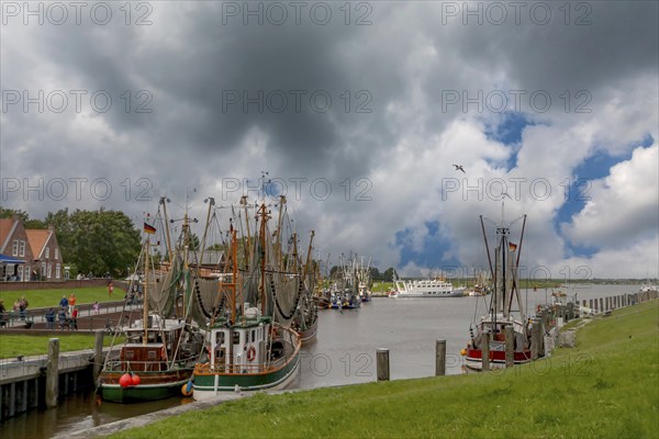 Crab cutter in the harbour of Greetsiel, the largest cutter fleet in East Frisia, Greetsiel, East
