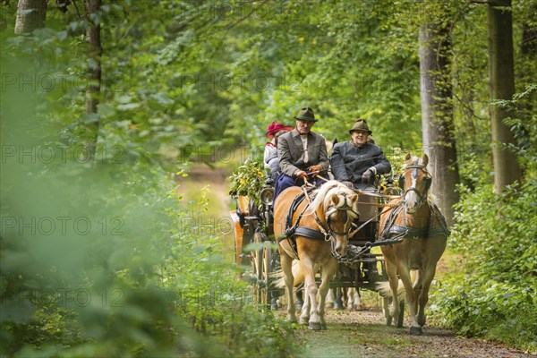 Presentation and route ride, all carriages in stylish tension, popular sporting event over approx.