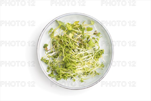 Ceramic plate with microgreen sprouts of radish and cress isolated on white background. Top view,