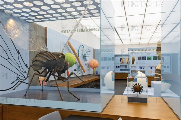 Founded in 1912, the Deutsches Hygiene-Museum is a museum in Dresden. It sees itself as a public