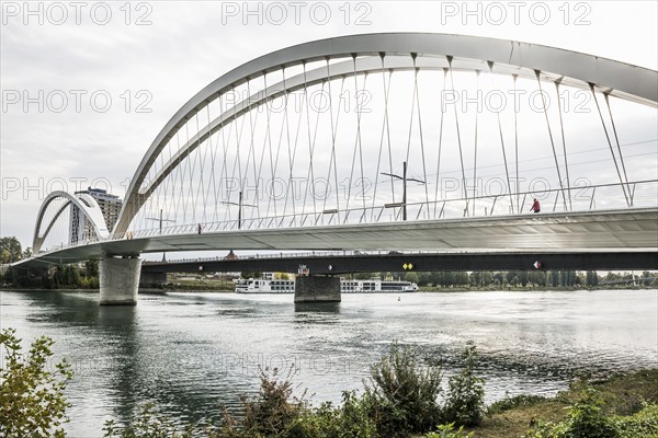 Bridge over the Rhine, cable-stayed bridge Passerelle des Deux Rives, Kehl, Ortenau,