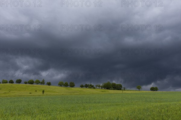 Heavy rain showers and thunderstorms over Possendorf in the Eastern Ore Mountains, Possendorf,