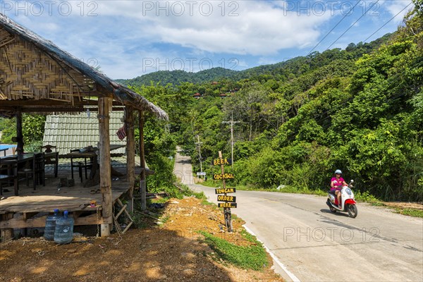 Scooter on a road on Koh Lanta, holiday, travel, tourism, travel, mobile, ride, rainforest,