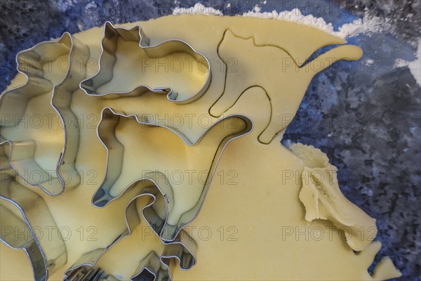 Swabian cuisine, Swabian Christmas biscuits, preparation of cookie cutters, shortbread biscuits,