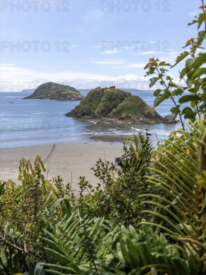 Natural Heritage Site Islotes de Punihuil, Punihuil, Chiloe, Chile, South America