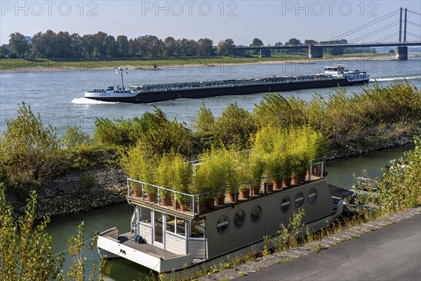Houseboat with roof garden at the Rhine harbour on Robert-Lehr-Ufer, in Düsseldorf, in the