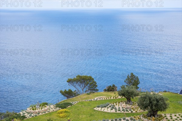 Peaceful sea view with terraced garden, green grass areas, rocky beds and trees in spring, rock