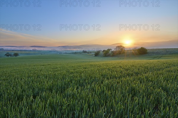 A picturesque sunrise over a wide green field and a gentle hilly landscape, Mönchberg, Mltenberg,