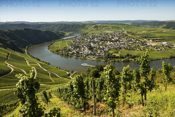 Picturesque village by the river and in the vineyards, Piesport, Moselle, Rhineland-Palatinate,