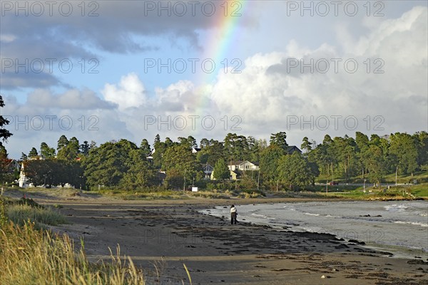 Beach landscape with rainbow and clouds over the sea and scattered green trees in the background,