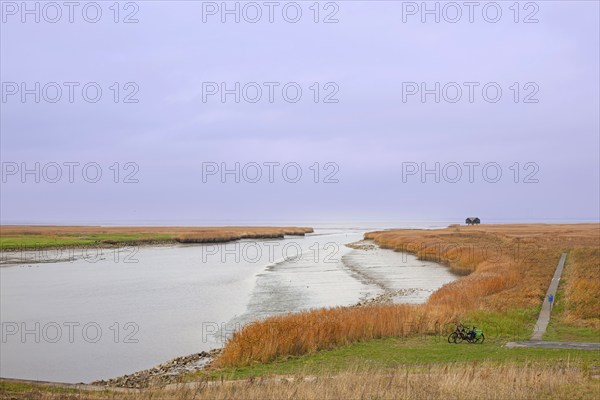 Low tide, mudflats, Dollard, observation point Kiekkaaste, Nieuwe Statenzijl, Netherlands