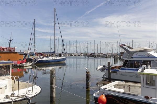 Quiet harbour area with sailing and motor-driven boats under clear skies, Rügen, Hiddensee