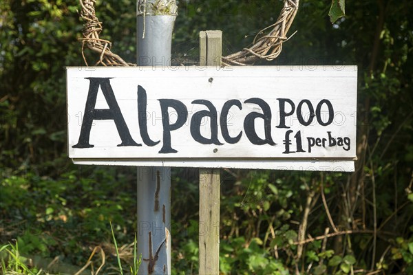 Bags of Alpaca poo on sale, Bawdsey, Suffolk, England, UK