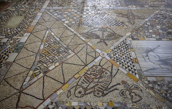 Basilica di Santi Maria e Donato with Byzantine mosaic pavement, Murano, Venice, Metropolitan City