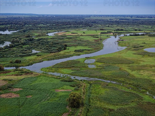 The Warta Estuary National Park, Park Narodowy Ujscie Warty, where the Warta flows into the Oder.