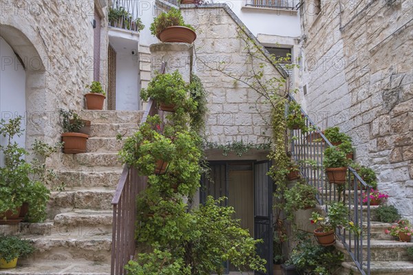 Small alley with many flowers, Cisternino, Valle d'Itria, Itria Valley, Apulia, Italy, Europe