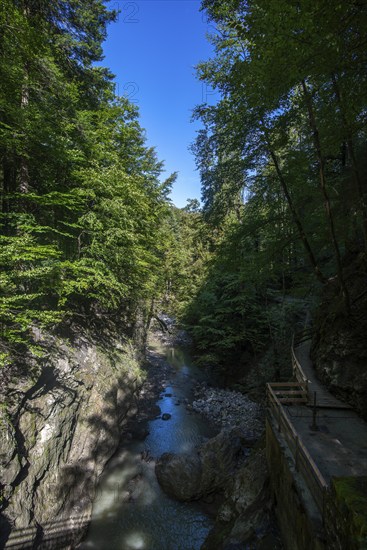 Rappenloch Gorge natural monument, Dornbirner Ach, Dornbirn, wooden footbridge, Bregenzerwald,