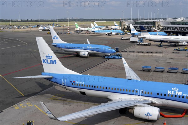 Amsterdam Schiphol Airport, aircraft at terminal, Gate D, check-in, apron, Amsterdam, Netherlands