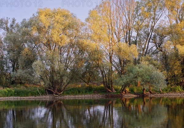 Evening light on the banks of the Czerwony Canal on the edge of the Warta Estuary National Park,