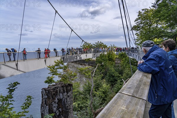 The Königsstuhl Skywalk on the chalk cliffs of Rügen, viewing platform on the famous Königsstuhl