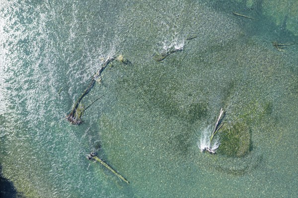 Confluence of river Rio Frio and Rio Yelcho, dead trees in the river, Patagonia, Chile, South