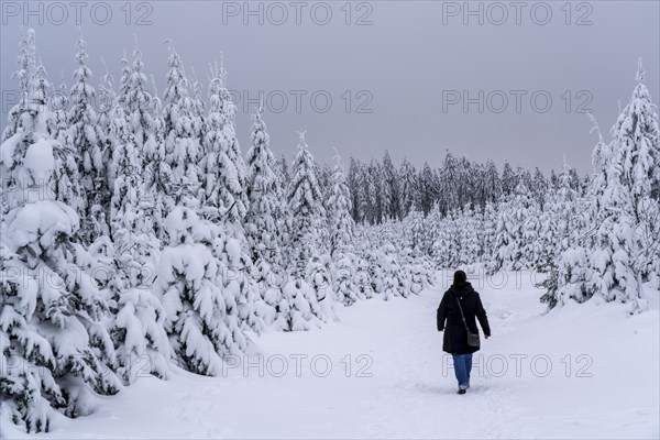 Winter in Sauerland, Hochsauerlandkreis, at Kahler Asten, near Winterberg, few tourists, visitors,