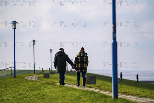 North Sea dyke, near Neuharlingersiel, Lower Saxony, Germany, Europe