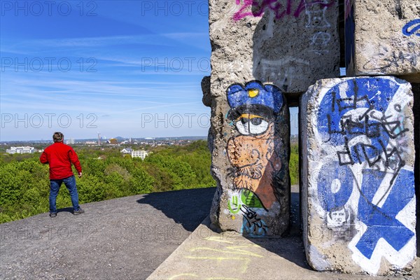 Rheinelbe spoil tip in Gelsenkirchen, 100 metre high spoil tip, landscape park, with the sculpture