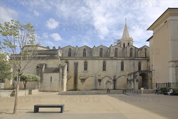 Romanesque church of St-Siffrein, Saint, Carpentras, Vaucluse, Provence, France, Europe