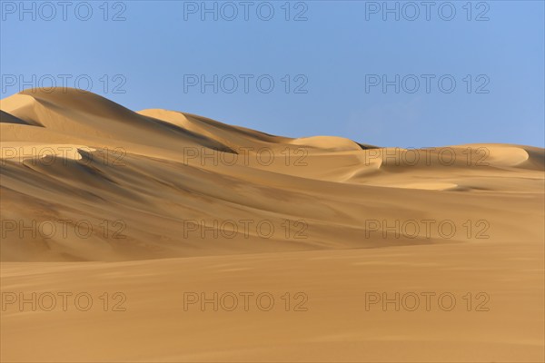 Sand dunes under a blue sky, conveying a calm and vast desert landscape, Matruh, Great Sand Sea,