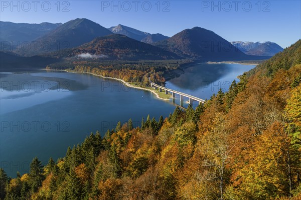 Aerial view of a mountain lake and autumnal coloured trees in the morning light, Sylvensteinsee,