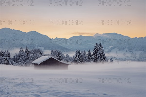 Deep snowy winter morning mood near Halblech in the foothills of the Alps in the Allgäu with the