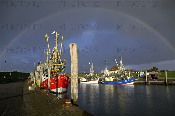 Fishing boats in the harbour of Tammensiel, rainbow, Pellworm Island, Schleswig-Holstein Wadden Sea