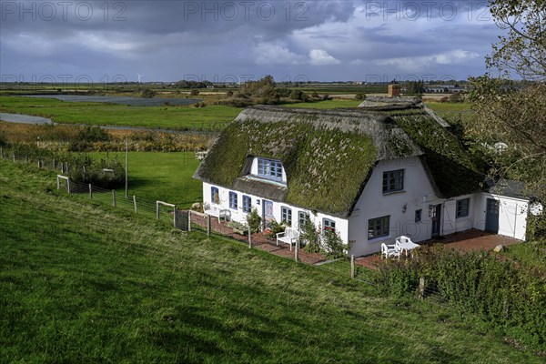 Thatched-roof house on Kaydeich, Pellworm Island, Schleswig-Holstein Wadden Sea National Park,