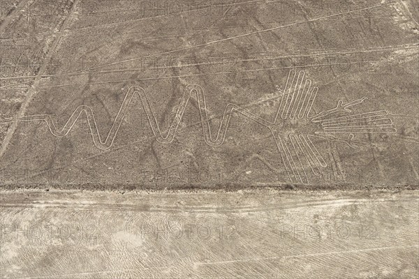 Aerial, The Heron, Nazca geoglyph, Nazca Lines, Nazca, Peru, South America